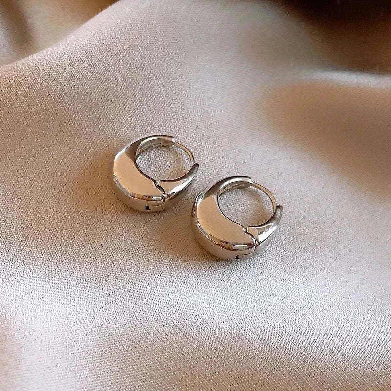 Punk Oval Hoop Earrings in Minimalist Metallic Style-661864