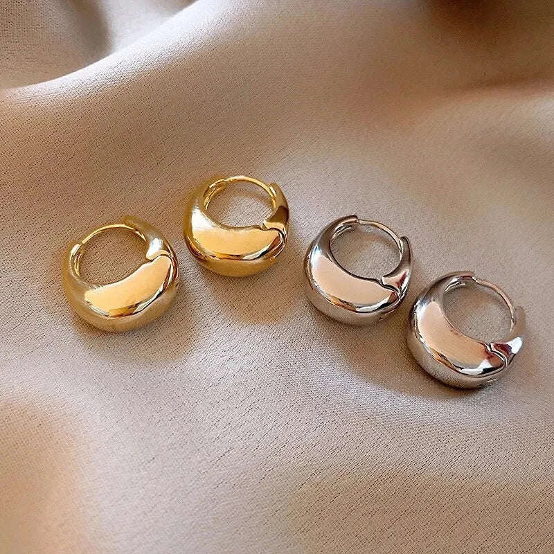 Punk Oval Hoop Earrings in Minimalist Metallic Style-661864