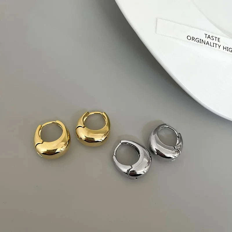 Punk Oval Hoop Earrings in Minimalist Metallic Style-661864