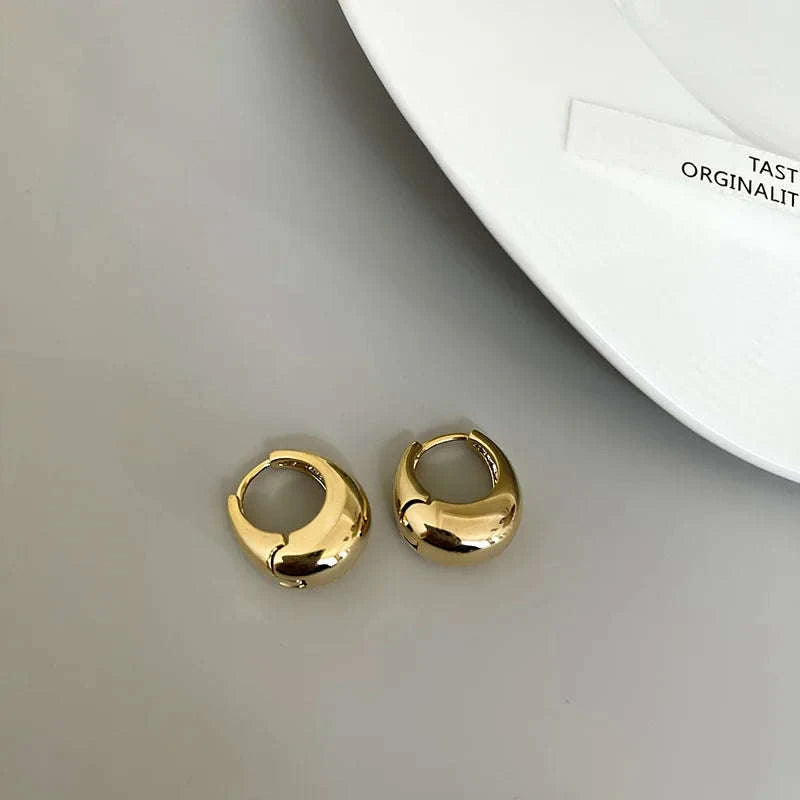 Punk Oval Hoop Earrings in Minimalist Metallic Style-661864