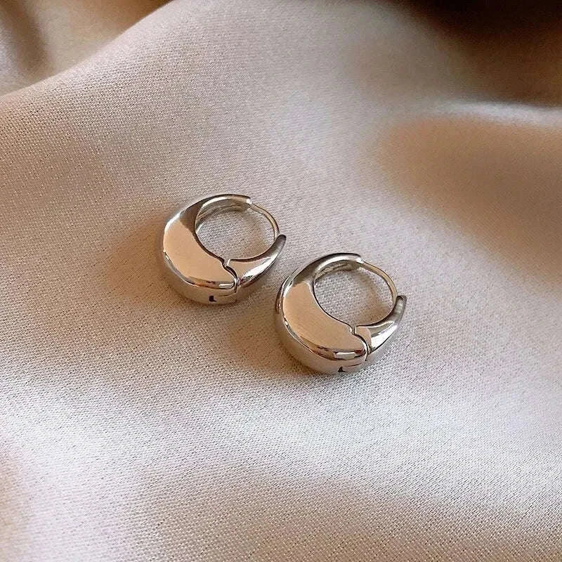 Punk Oval Hoop Earrings in Minimalist Metallic Style-661864