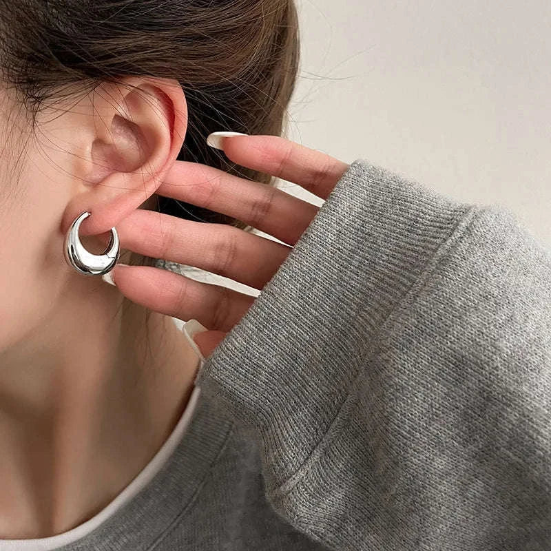 Punk Oval Hoop Earrings in Minimalist Metallic Style-661864