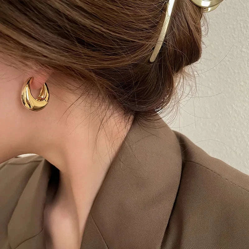 Punk Oval Hoop Earrings in Minimalist Metallic Style-661864