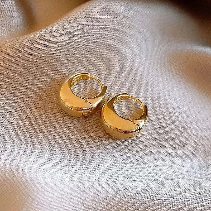 Punk Oval Hoop Earrings in Minimalist Metallic Style-661864