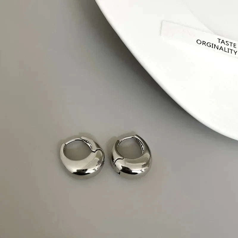 Punk Oval Hoop Earrings in Minimalist Metallic Style-661864