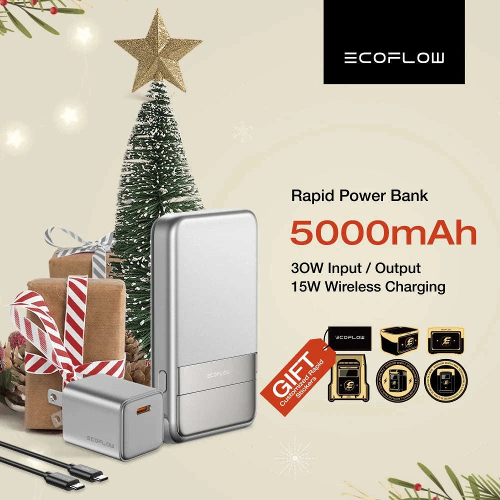 Rapid Wireless Power Bank 5000mAh with Stand and Built-in USB-C Cables-Rapid 5000 Sliver / United States / US