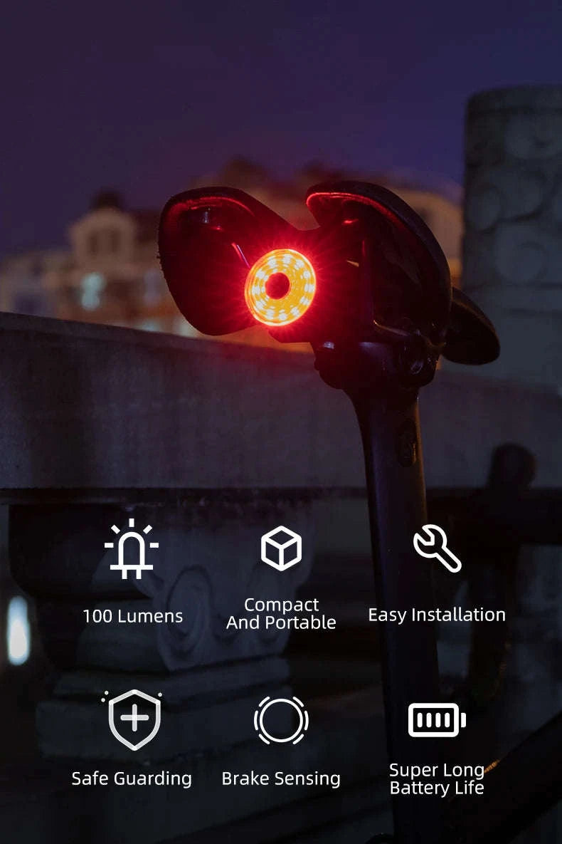 Rechargeable Bike Tail Light with Brake Sensing & 7 Modes-WR05