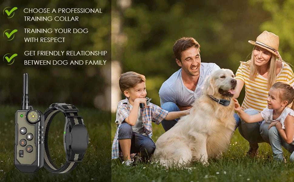 Remote Control Dog Training Collar with Waterproof Receiver-Control one dogs
