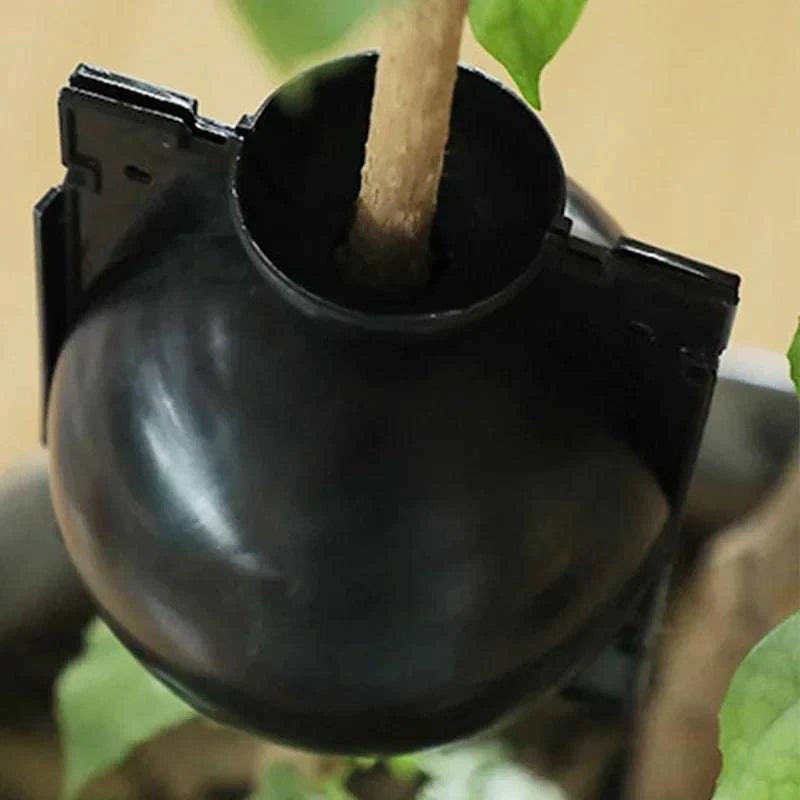 Reusable Plant Root Growing Box for Easy Plant Propagation-10pcs-5cm