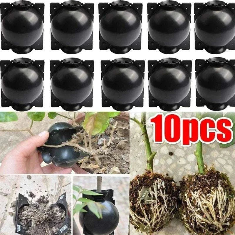 Reusable Plant Root Growing Box for Easy Plant Propagation-10pcs-5cm