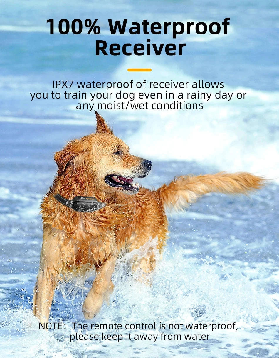 ROJECO Electric Dog Training Collar with Remote Control-TC028 1 Collar