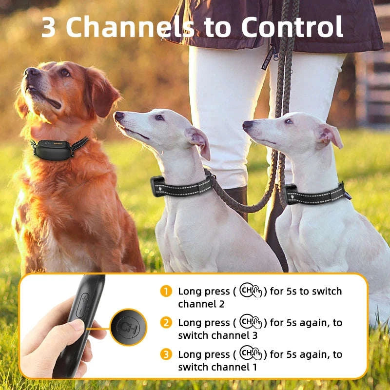 ROJECO Electric Dog Training Collar with Remote Control-TC028 1 Collar