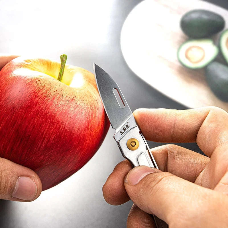 SANRENMU 431S Folding Pocket Knife-431S-SF