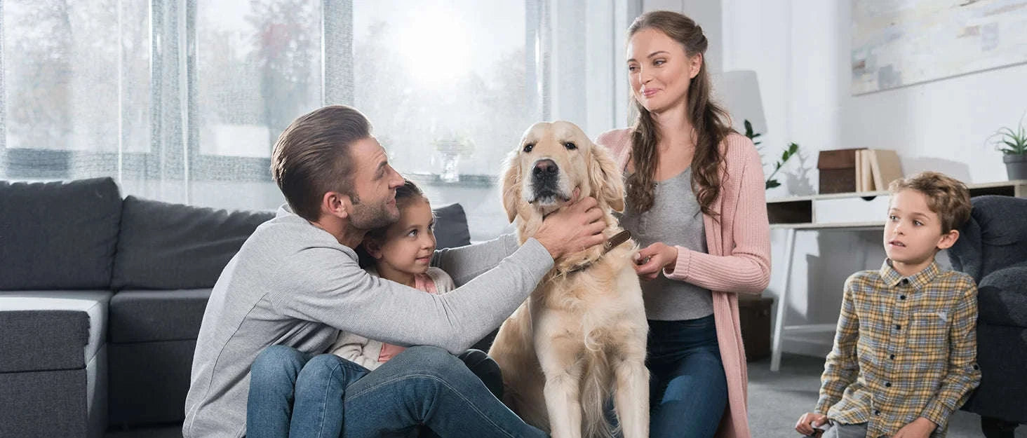 Sejoy Rechargeable Electric Razor for Men-Blue / United States