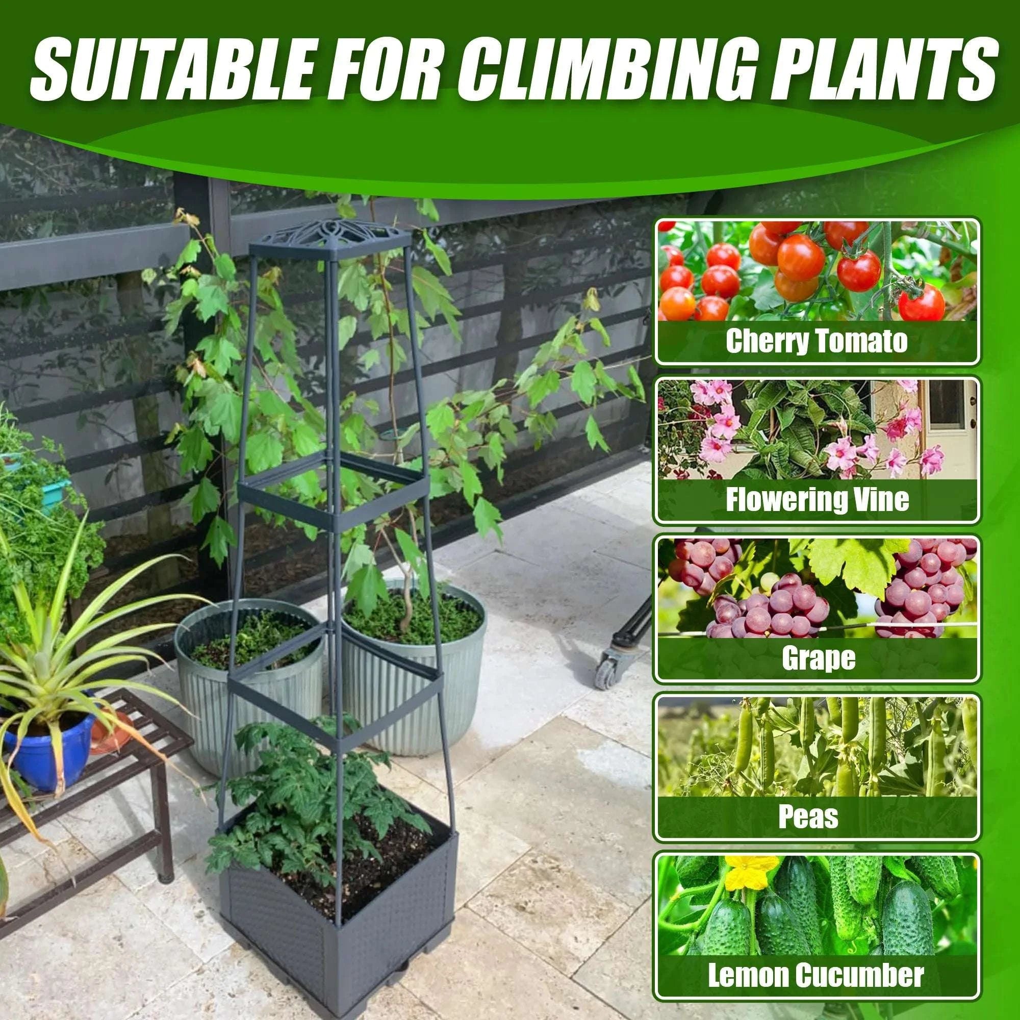 Self-Watering Tomato Planter Box with Adjustable Trellis (2 Pack)-United States