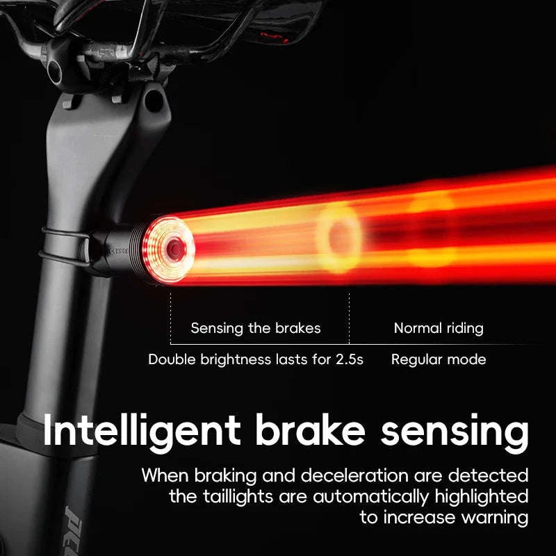 Smart Auto Brake Sensing Bike Tail Light USB Rechargeable IPX6-Q0