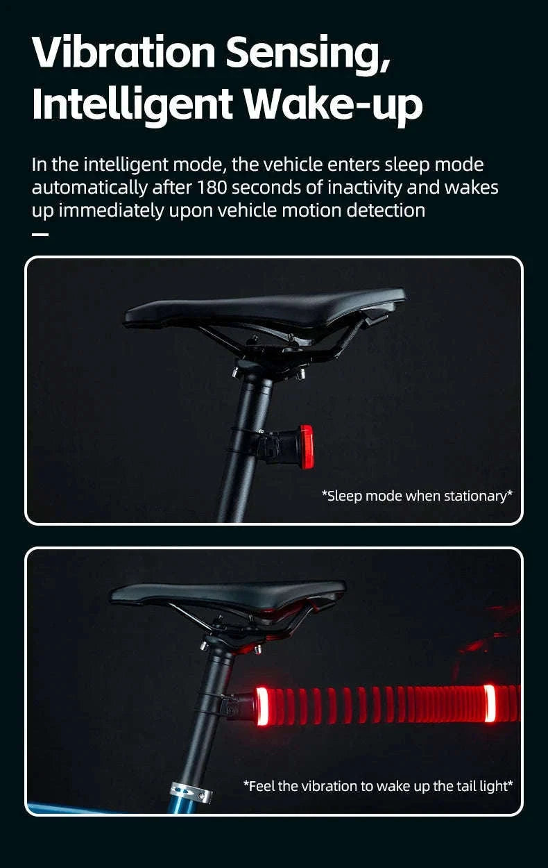 Smart Bike Tail Light with Brake Sensor & IPX7 Waterproof-24520007001