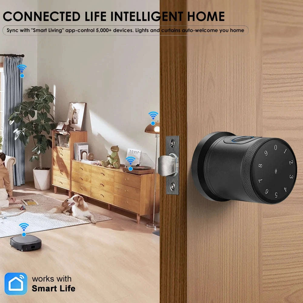 Smart Door Lock 5-in-1 Keyless Entry Deadbolt-black / United States