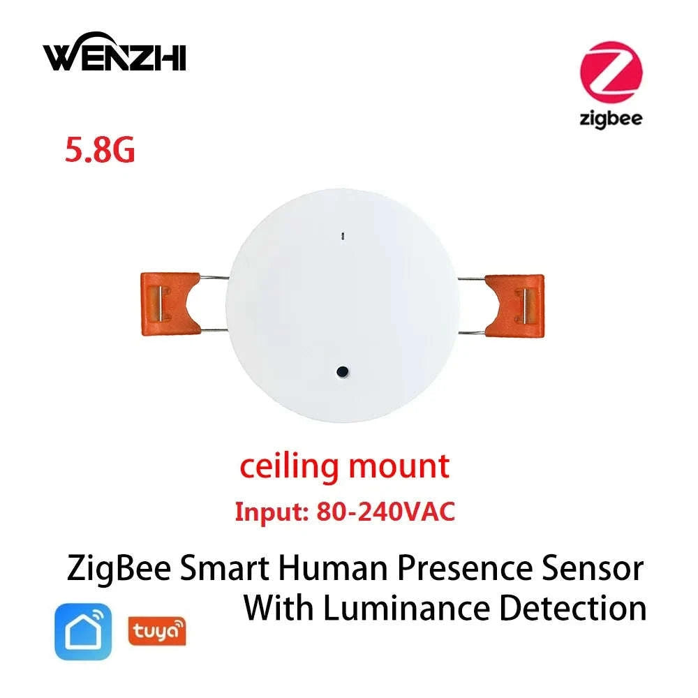 Smart mmWave Human Presence Sensor with Light & Distance Detection-5.8G Wall Wifi / China Mainland