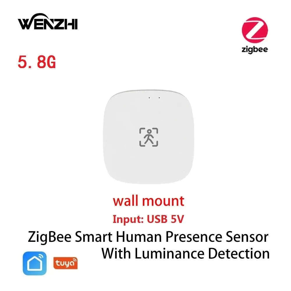 Smart mmWave Human Presence Sensor with Light & Distance Detection-5.8G Wall Wifi / China Mainland