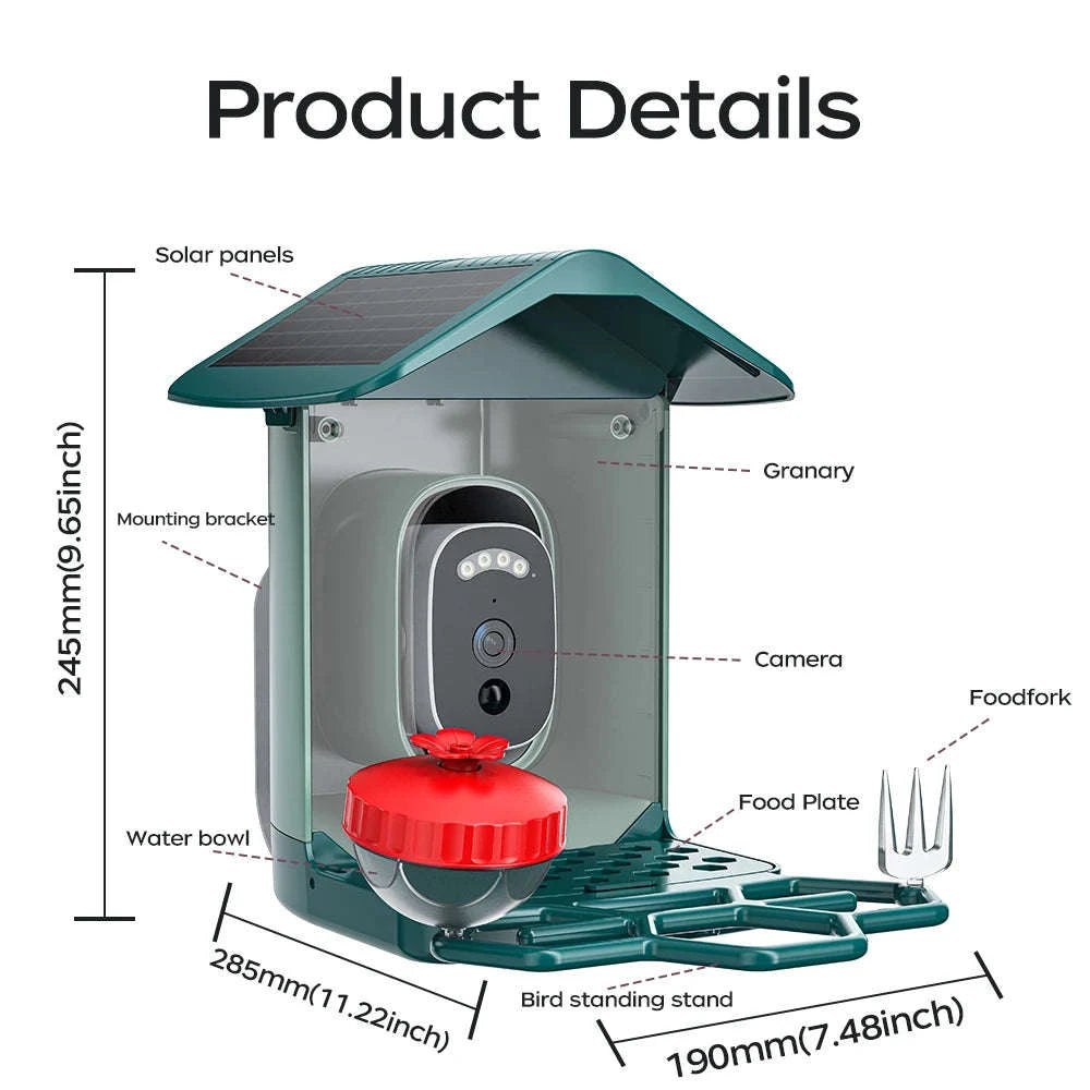 Solar Powered Bird Feeder Camera with 2K Night Vision-2K Camera / 2.8mm / China Mainland