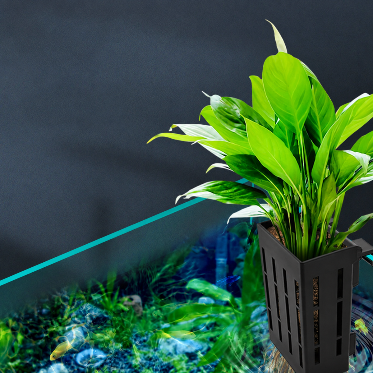 Hanging Aquarium Plant Basket