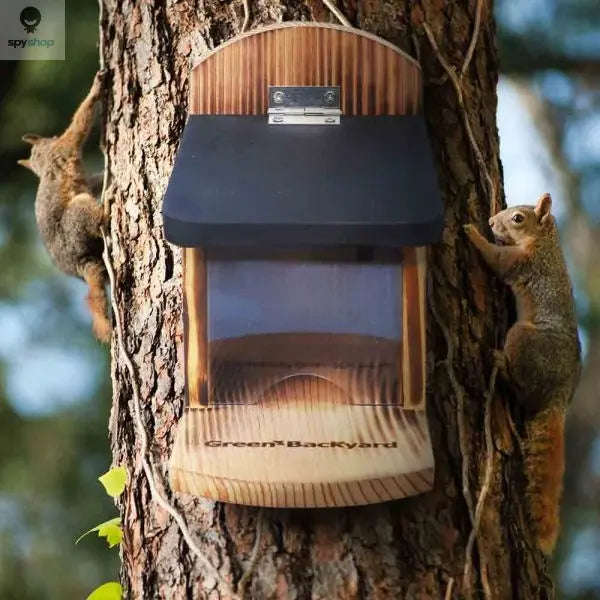 Squirrel Feeding Station for a Natural Backyard Wildlife Haven-Default Title