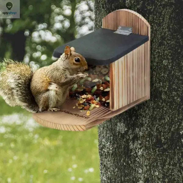 Squirrel Feeding Station for a Natural Backyard Wildlife Haven-Default Title