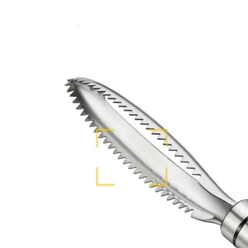 Stainless Steel Fish Scale Scraper for Cleaner, Faster Prep-Fish scale scraping