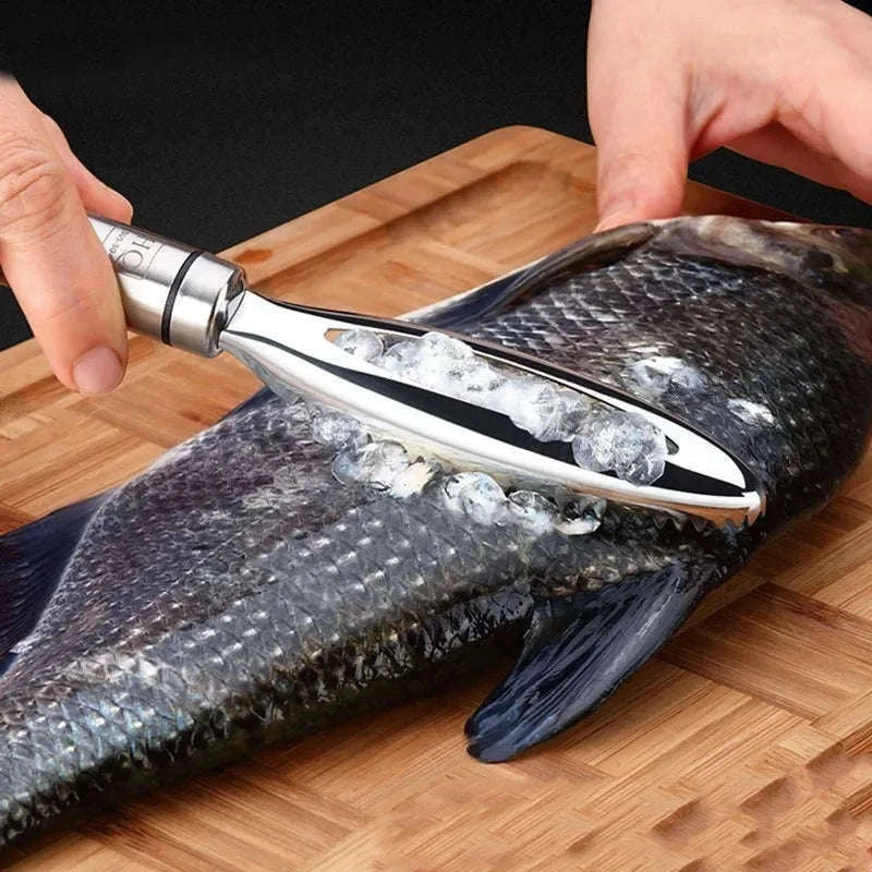 Stainless Steel Fish Scale Scraper for Cleaner, Faster Prep-Fish scale scraping