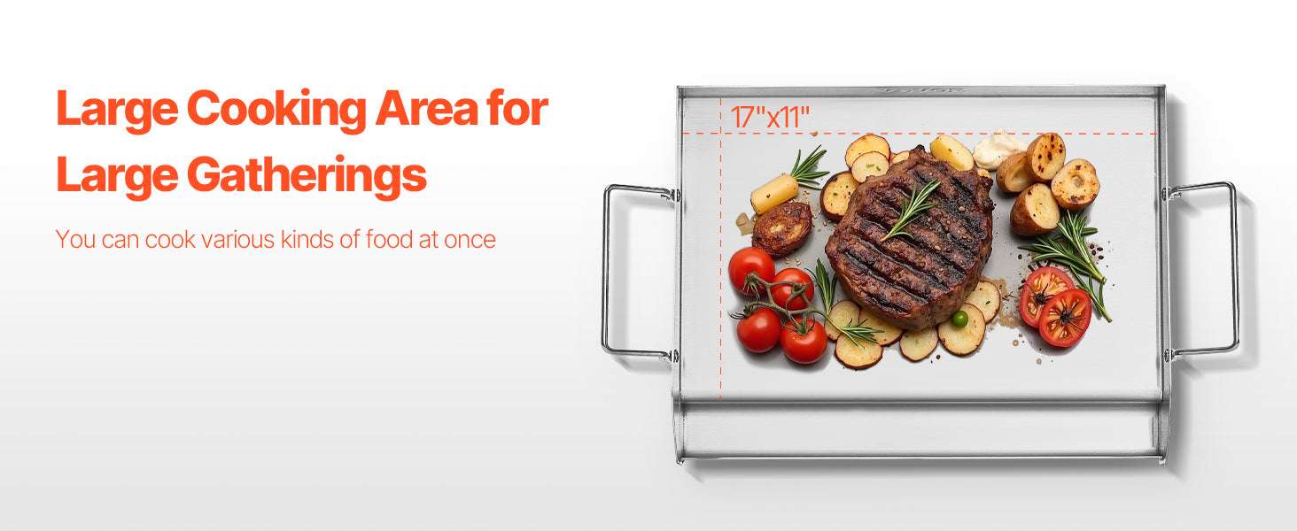 Stainless Steel Grill Griddle Plate Flat Top for BBQ & Camping-25x16 inch / spain