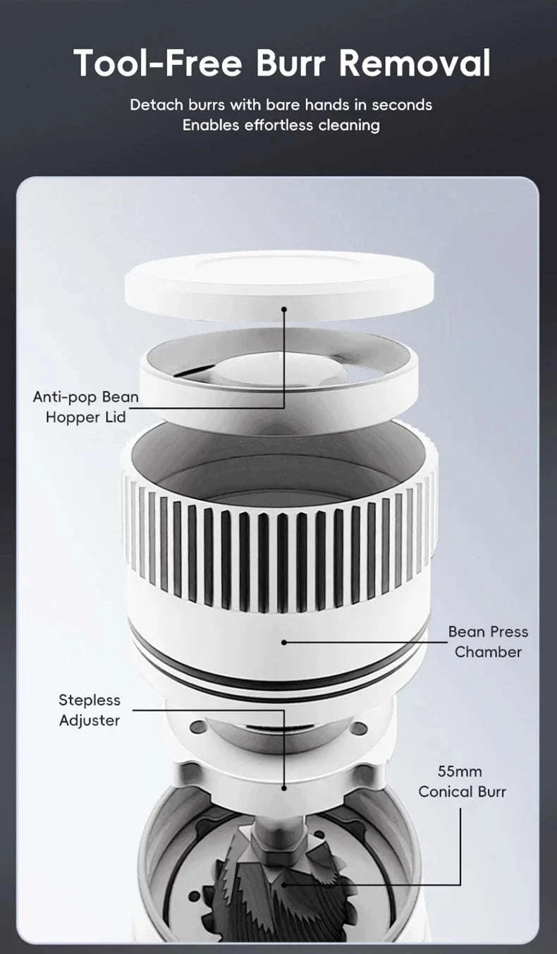 STARSEEKER E55Pro Electric Coffee Grinder 55MM Titanium Burr-PRO-white-plasma / Poland / 110V-240V|EU