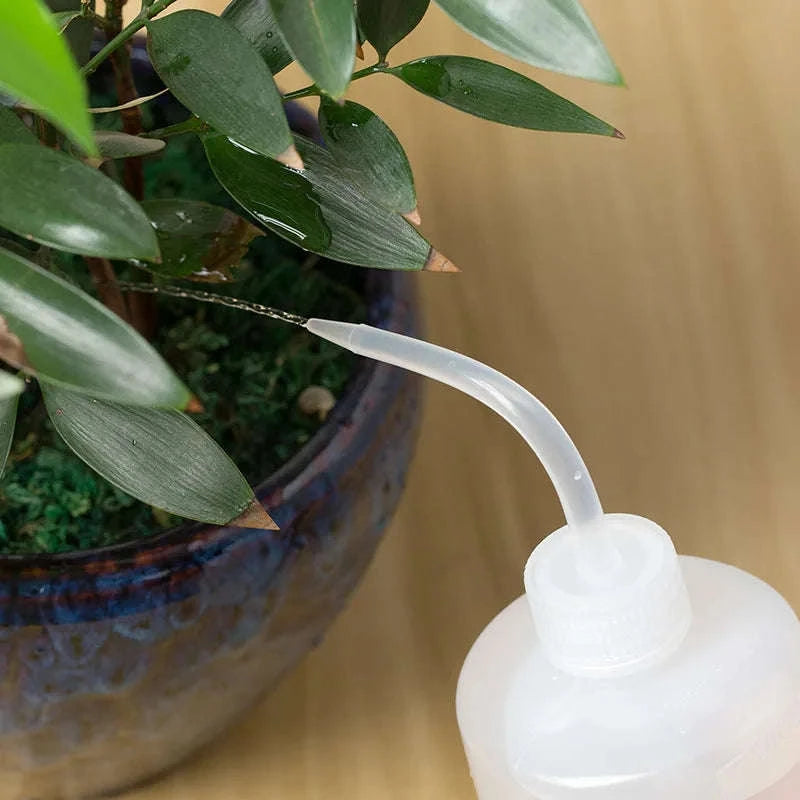 Succulent Watering Can for Precise, Gentle Plant Care-500ml