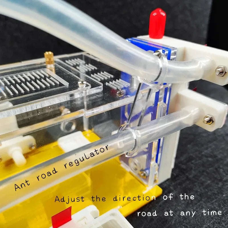 T Design DIY Ant Farm with Feeding Area-Red