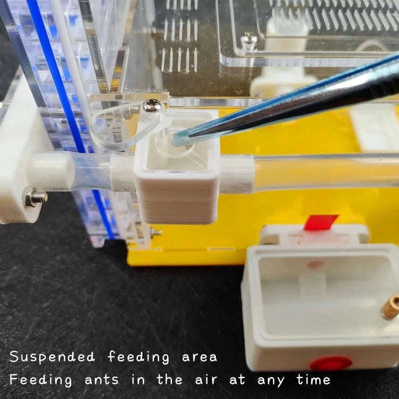 T Design DIY Ant Farm with Feeding Area-Red