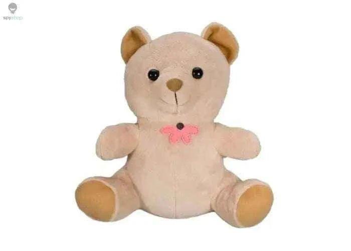 Teddy Bear Camera