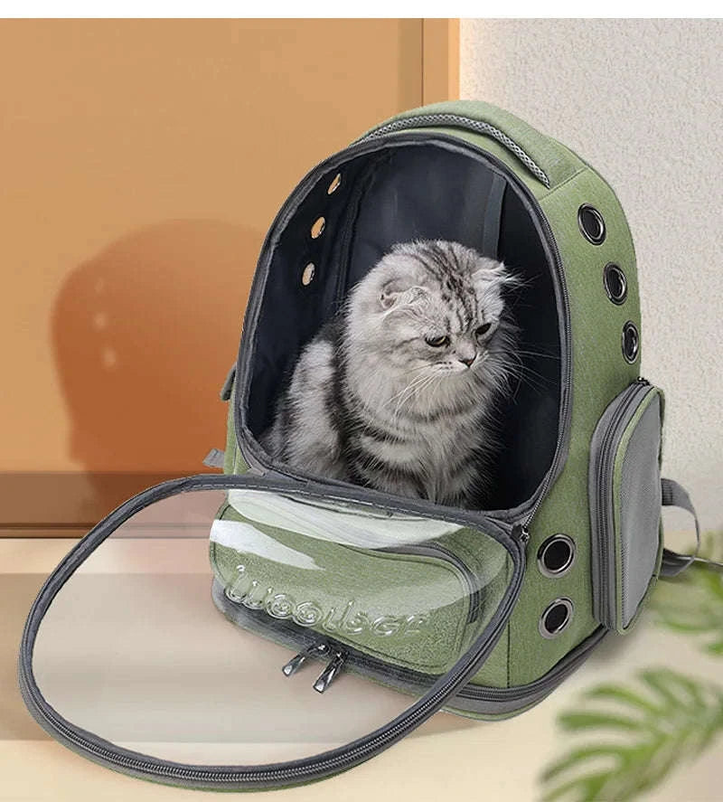Transparent Pet Cat Carrier Backpack for Cats & Small Dogs-Grey
