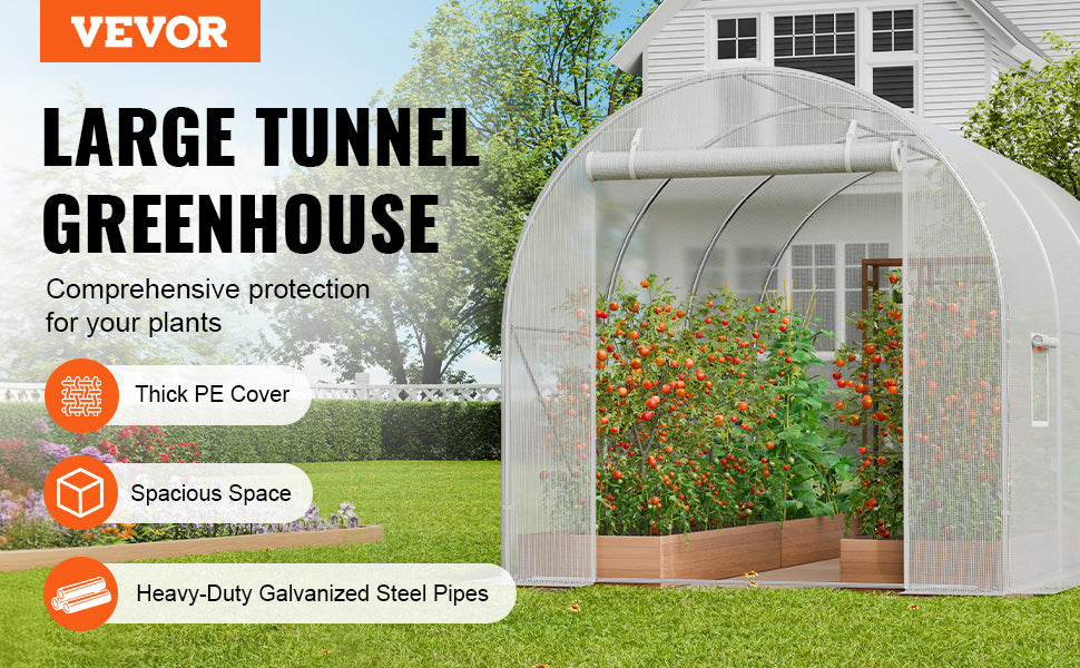 Walk-In Tunnel Greenhouse with Galvanized Steel Frame and PE Cover