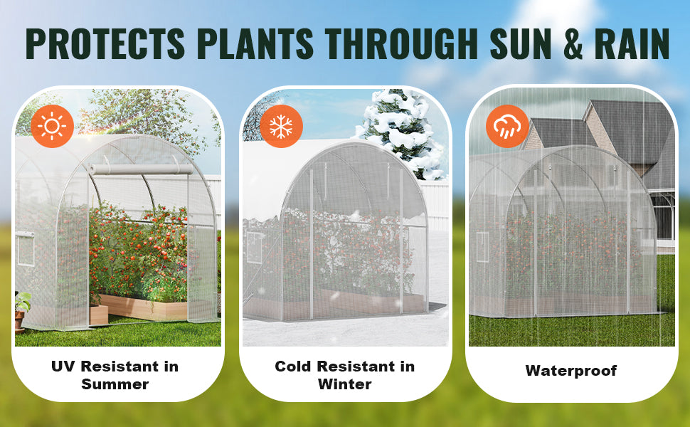 Walk-In Tunnel Greenhouse with Galvanized Steel Frame and PE Cover