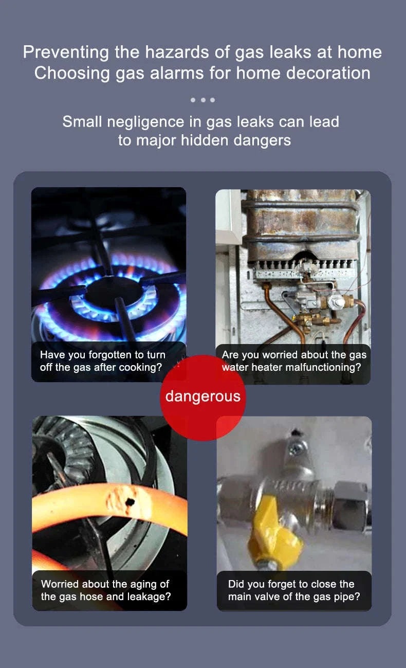 Tuya Smart Life Gas and CO Leak Detector WiFi Alarm-WIFI GAS