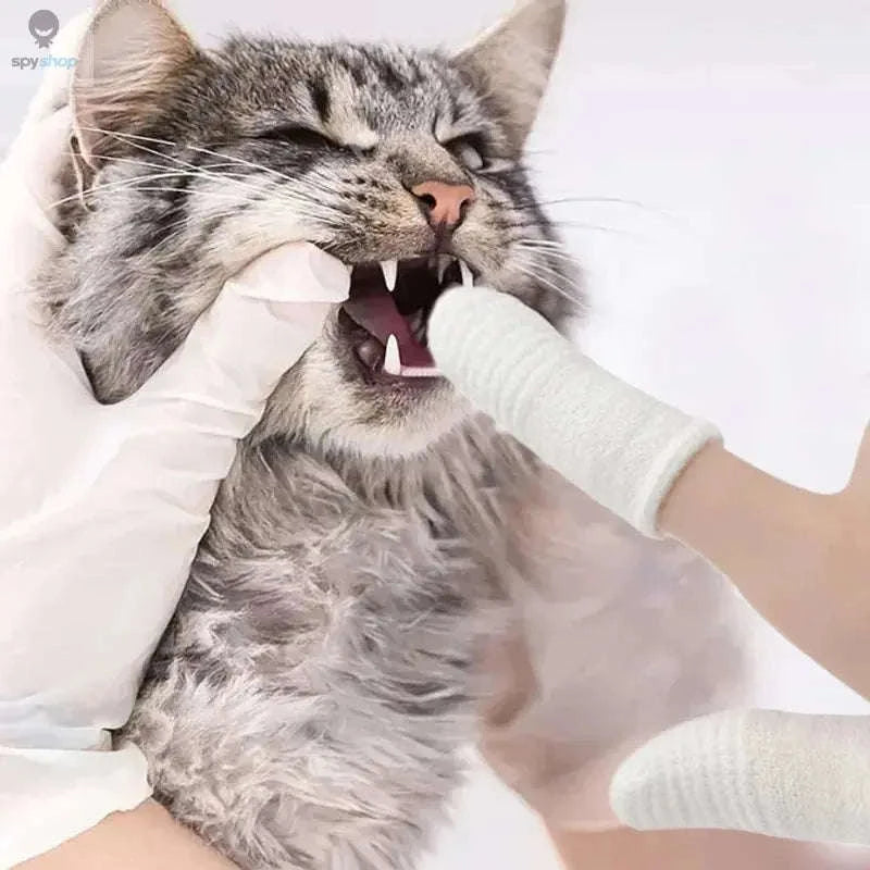 Two-Finger Pet Dental Cleaning Wipes for Cats & Dogs-Finger Cots / 12pcs