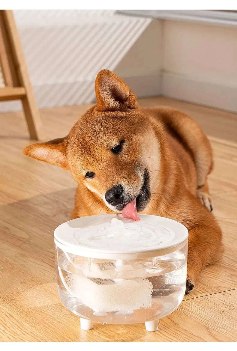 USB Electric Pet Water Fountain 1L Automatic Cat Drinking Dispenser-1 / USB Plug DC5V / 1L