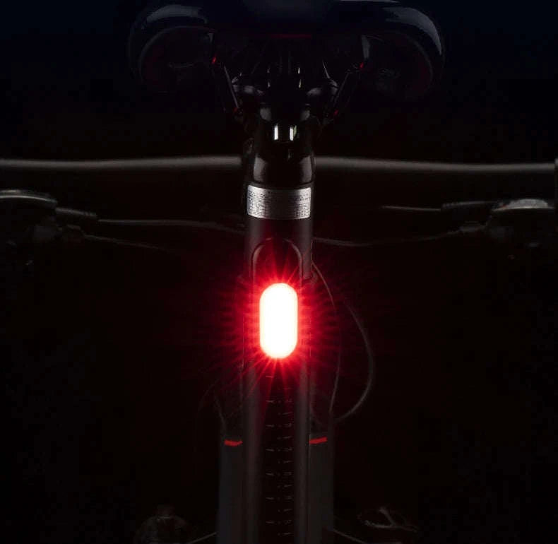 USB Rechargeable Bicycle Rear Light, 5 Modes-PT-6005B