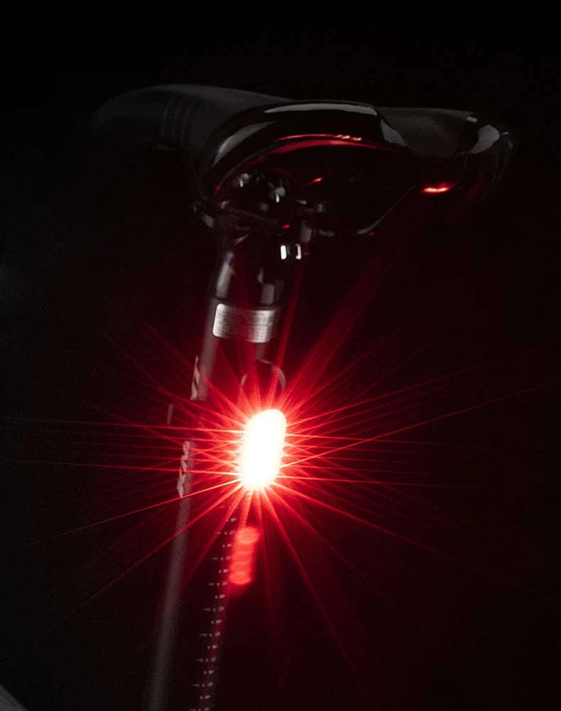USB Rechargeable Bicycle Rear Light, 5 Modes-PT-6005B