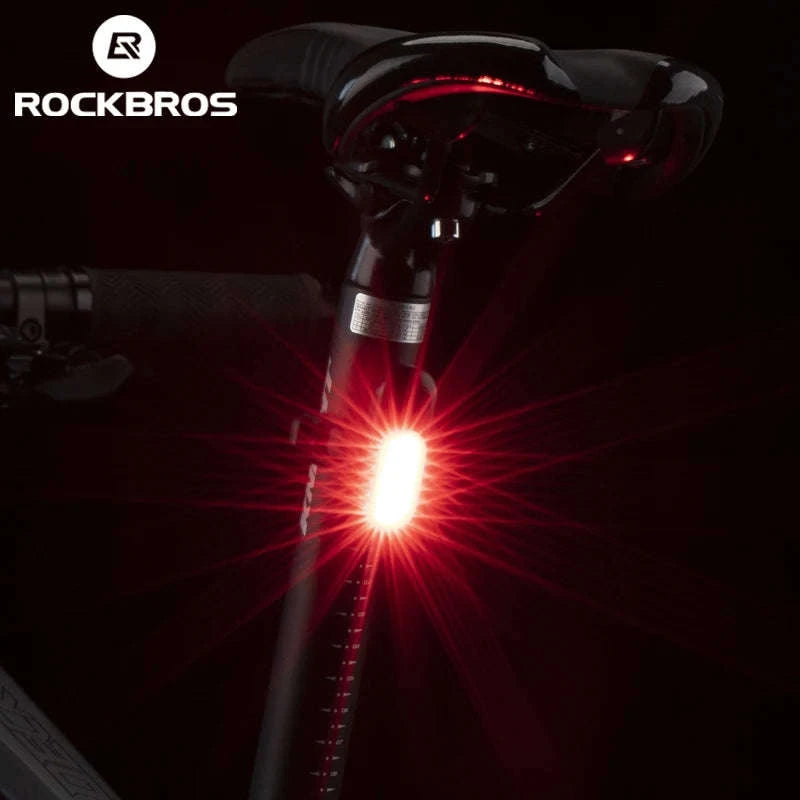 USB Rechargeable Bicycle Rear Light, 5 Modes-PT-6005B