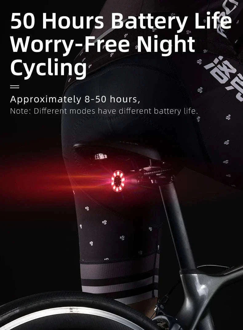 USB Rechargeable Bicycle Rear Light with Smart Sensing & IPX6 Waterproof-Q1