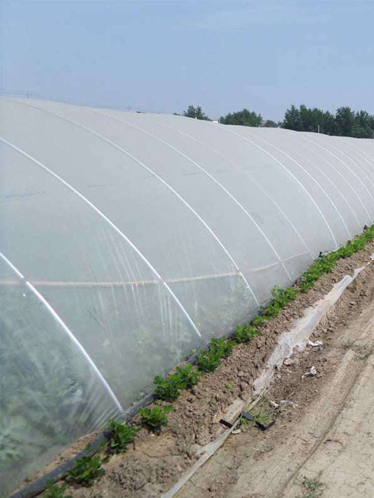 UV Resistant Polyethylene Greenhouse Film Cover 16 x 28 ft-12x25FT / Germany