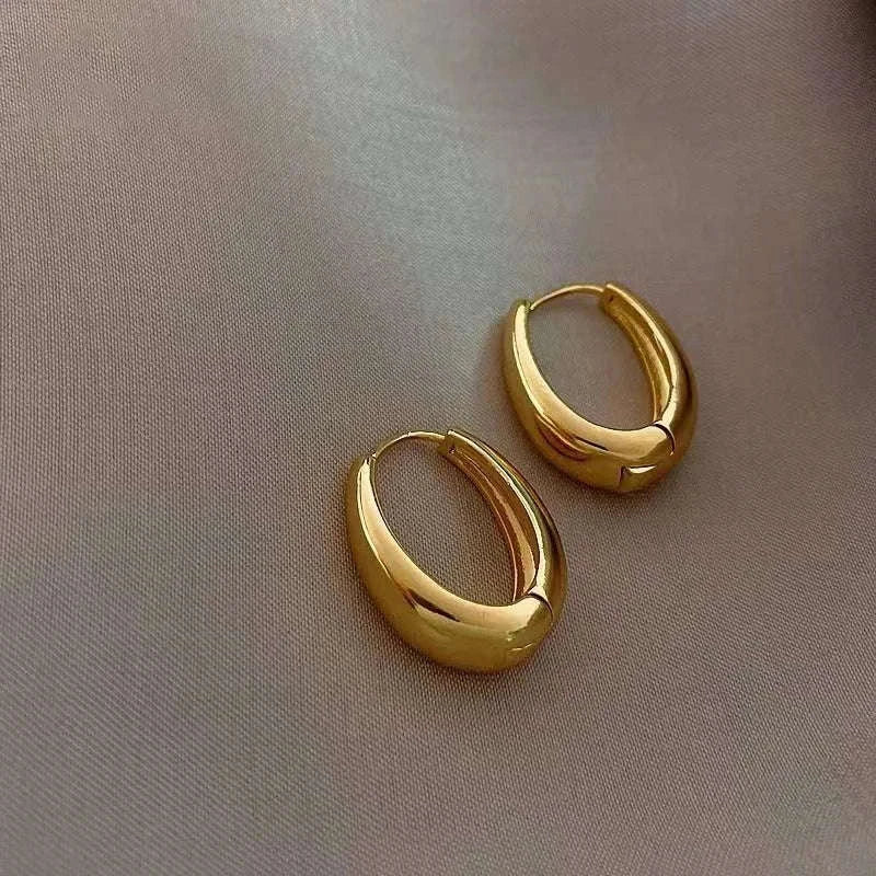 Vintage Metal Hoop Earrings with Irregular Wave Design-4