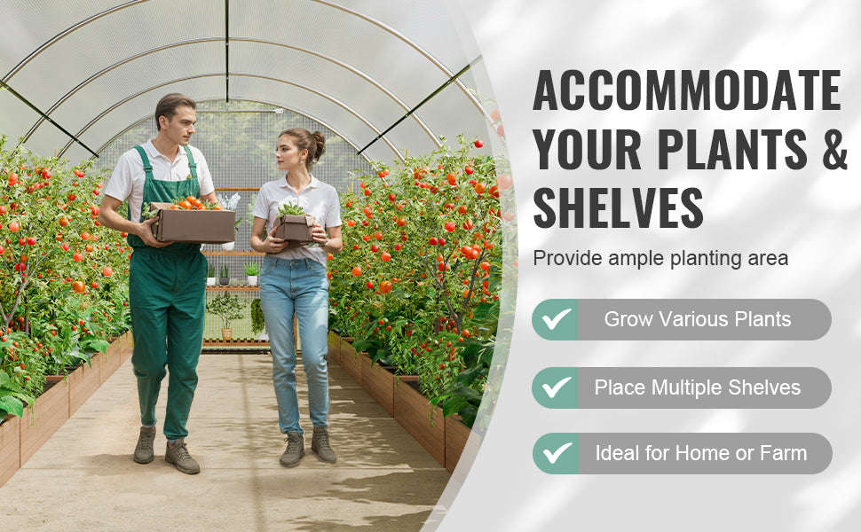 Walk-In Tunnel Greenhouse with Galvanized Steel Frame and PE Cover-30x10x7ft Green B / United States