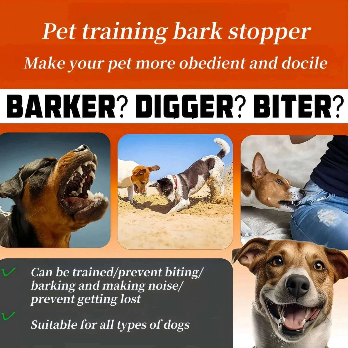 Waterproof Dog Training Collar with Remote Control-518-1-NY-White / USB